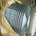 Hot dipped 2x2 galvanized welded wire mesh panel and roll